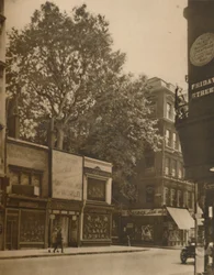"A Favoured Inmate of the City: The Plane-Tree in Cheapside", c1935.