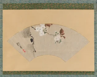 Körsbärsblommor, 1700-talet.