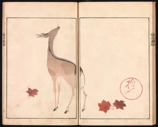 Ōson (Hōitsu) bildalbum (Ōson gafu)