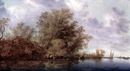 Skogbevuxen flodlandskap
