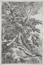 St. William Eremiten, ca. 1662.