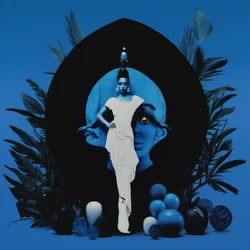 Elegant Blue Vision