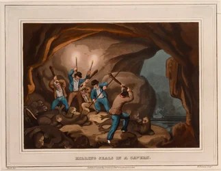 Dödar sälar i en grotta