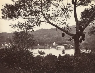 En titt från Upper Lake Road som visar templet och ön med park - fruktträd i förgrunden, c1865.