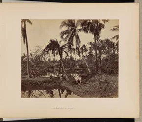 Calcutta; Rustika scener och livet på landsbygden i Bengalen