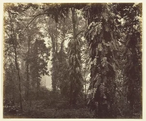 Darjeeling, Indien, ca. 1865.