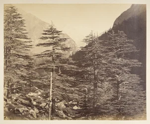 Snöiga toppar nära Gangootri från Bhairamghati. Fotograf: Bourne, Samuel Album med fotografier av Indien, främst av Samuel Bourne1866