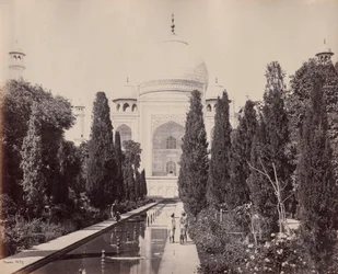 The Taj