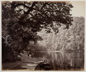 Utan titel [träd nära vatten, Indien], 1870-talet.
