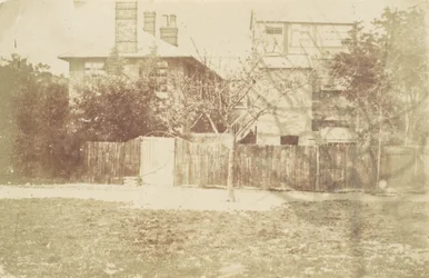 Träd i gården, 1850-talet.