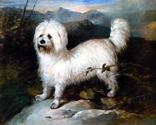 Liten vit hund i ett landskap (olja på duk)