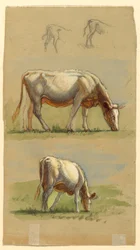 Teckning, Nötkreatur, Två betande kor och kalvars ryggar, 1875-80