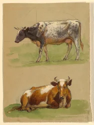 Teckning, Nötkreatur, en ko som går och en ko som hukar sig, 1875-80