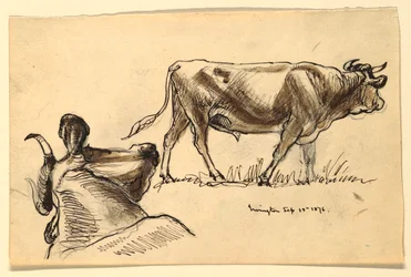 Teckning, Skisser. Nötkreatur, Irvington, september 1876