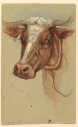 Teckning, Skisser från Narragansett, Rhode Island, 1871