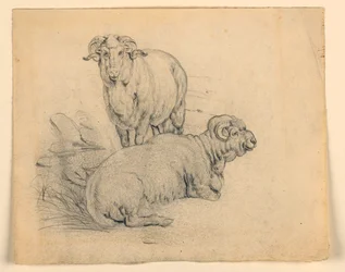 Teckning, Studie. Två baggar, ca 1850
