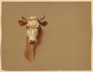 Teckning, Två studier.  Nötkreatur, 1876