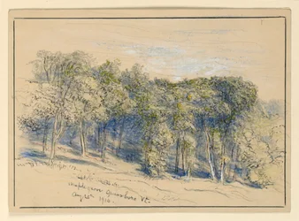 Studie av Maple Grove, Greensboro, Vermont