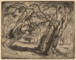 Namnlös (skogsbevuxen landskap)