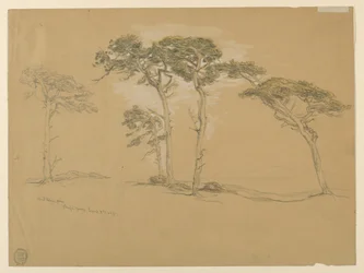 Vindblåsta tallar, Pacific Grove. Verso: Pacific Coast-vägen till Point Sur.