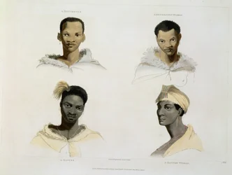 A Hottentot, a Hottentot Woman, a Kaffre, a Kaffre Woman: fyra huvud- och axelvinjetter, skylt 14 från 