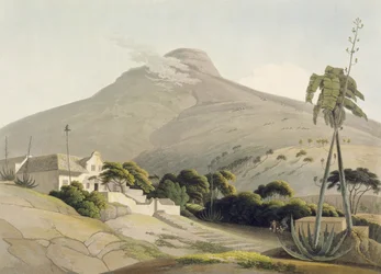 Vy över lejonhuvudet, tavla 28 från "African Scenery and Animals", graverad av konstnären, 1805 (akvatint)