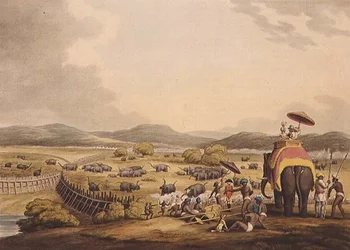 Driving Elephants Into A Keddah, från "Oriental Field Sports", pub. av Edward Orme