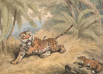 En tiger genomborrad med en pil