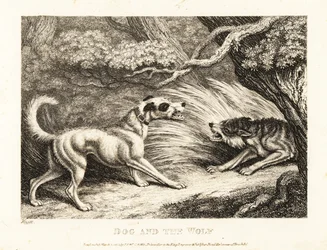 En hushund i halsband erbjuder mat till en svältande varg. 1811 (etsning)