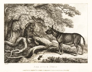 En apa och en åsna stönar tills en mullvad tystar dem. 1811 (etsning)