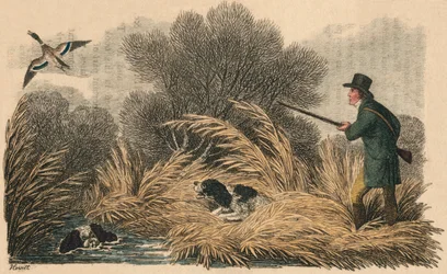 Ankskytte, 1810.