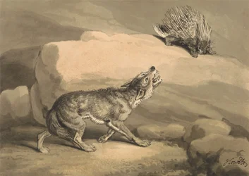 Fox and the Hedgehog (Pinvarg)