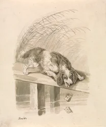 Hunden och skuggan