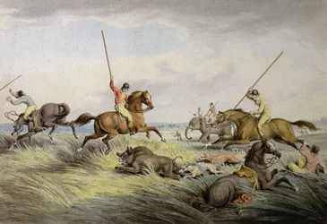 Hog Chase - The Kill, från "Orme