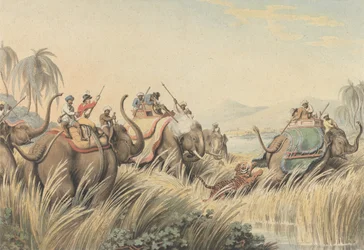 Tigern trängd: en illustration till kapten Thomas Williamsons "Oriental Field Sports"