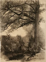 Landskap med stort träd, 1884 (kol på gulfärgat papper)