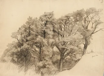 Landskap med träd, 1884 (kol på gulfärgat papper)
