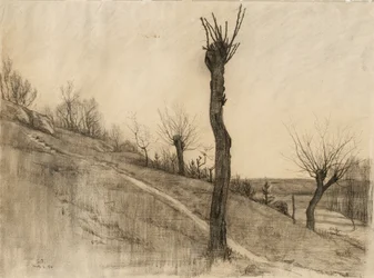 Senvinterlandskap, 1884 (kol på gulfärgat papper)