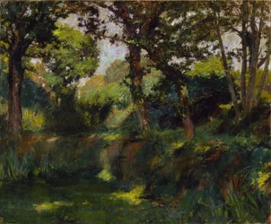 Skogsbeklädd Landskap