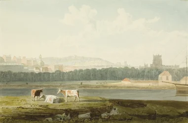 Utsikt över den flytande hamnen, med St George