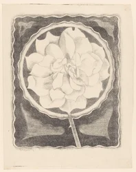 Rose (i cirkel, med vågig kant)