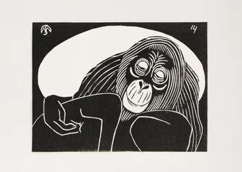 Orangutang