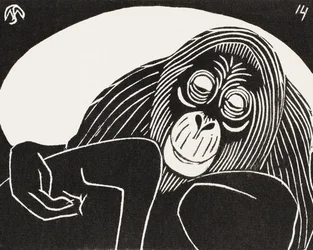 Orangutang
