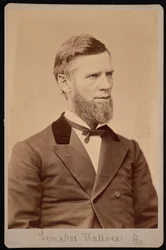 Porträtt av William Andrew Wallace 1827-1896, mellan 1876 och 1880.