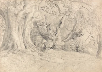 Forntida träd, Lullingstone Park
