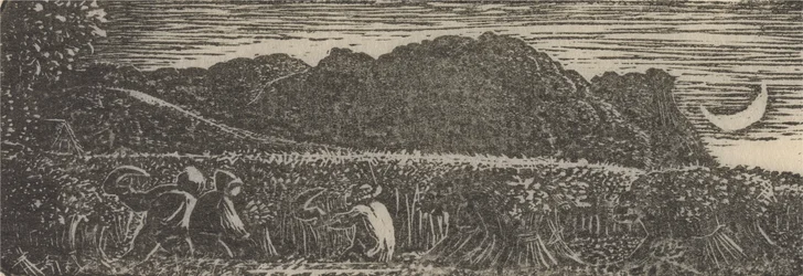 Skörda under en halvmåne