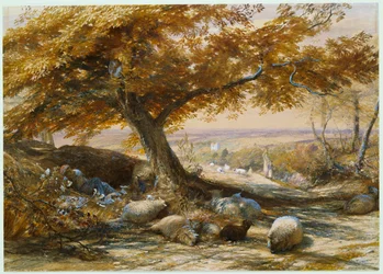 Får i skuggan, cirka 1851
