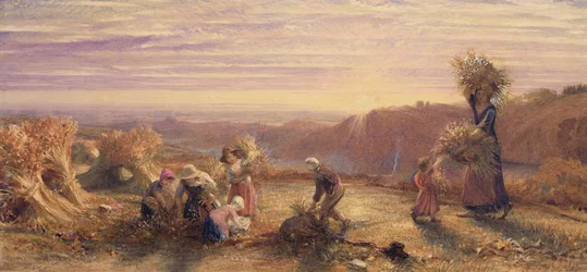 Solnedgång över Gleaning Fields