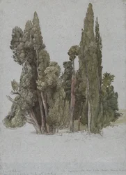 Cypresserna i Villa d