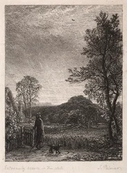Skyläran